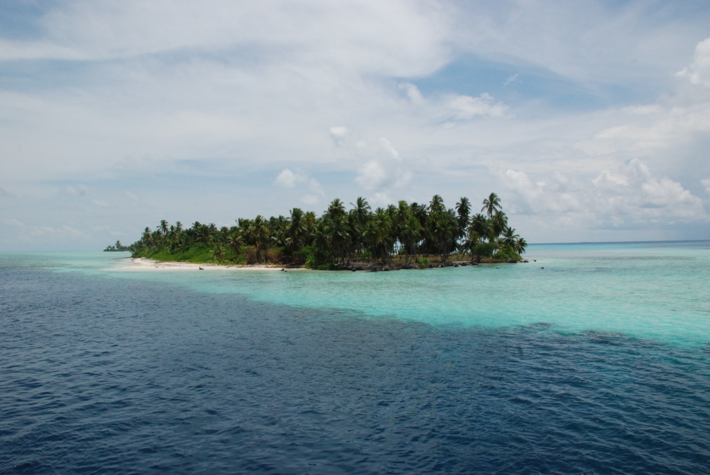Surfresa Maldiverna