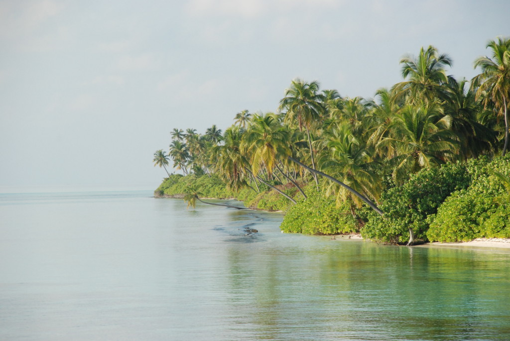 Surfresa Maldiverna.