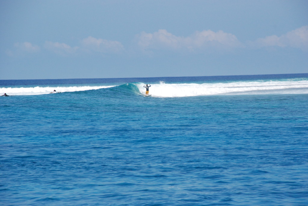 Surfresa Maldiverna
