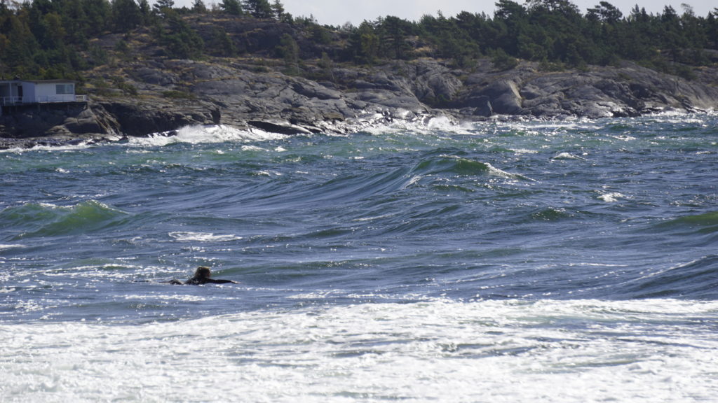surf på Torö
