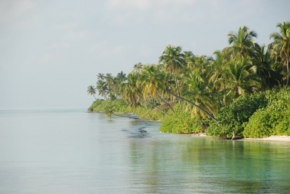 Surfresa Maldiverna.