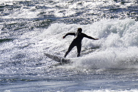 surf på Torö